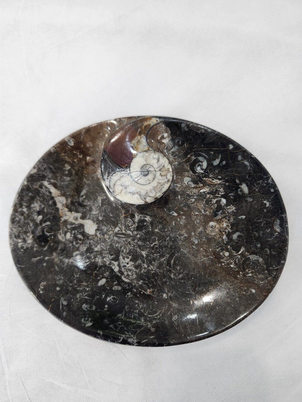 Black Fossil Marble Decorative Bowl with Ammonite Accent